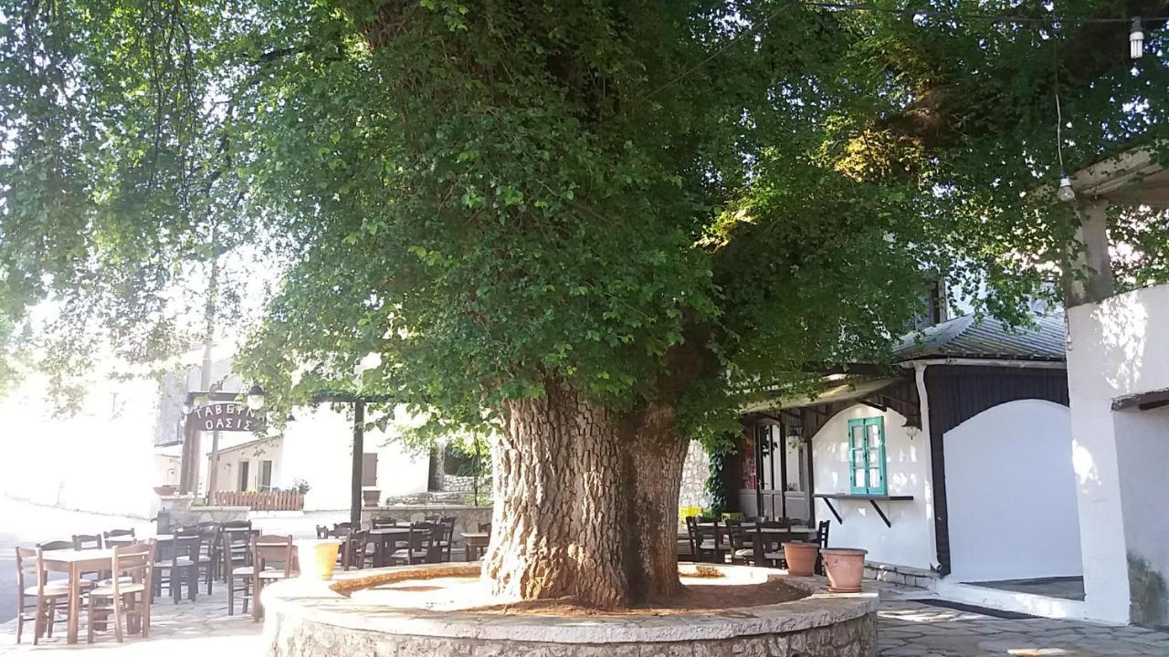 Elm Tree Dream Catcher Strinilas Exterior foto
